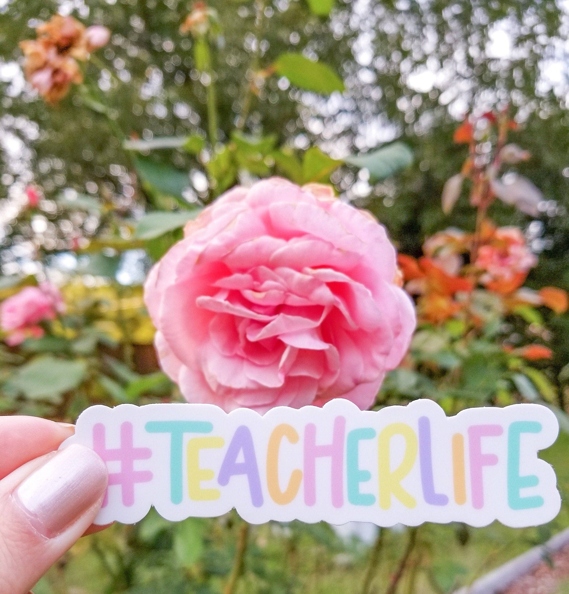 #TeacherLife Sticker