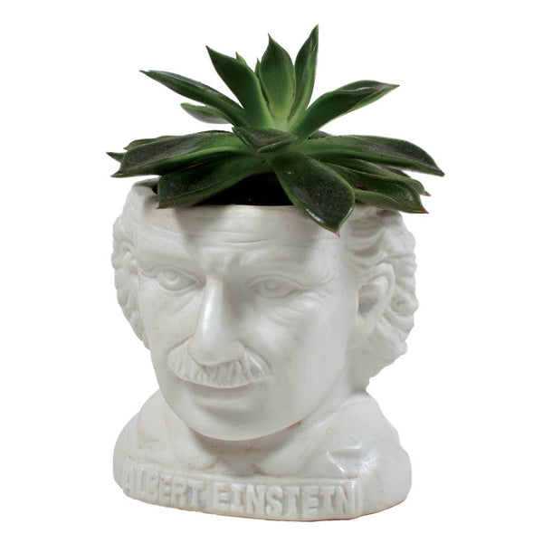 Albert Einstein Planter