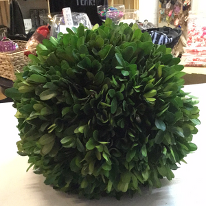 Boxwood Preserved Greenery Ball Large