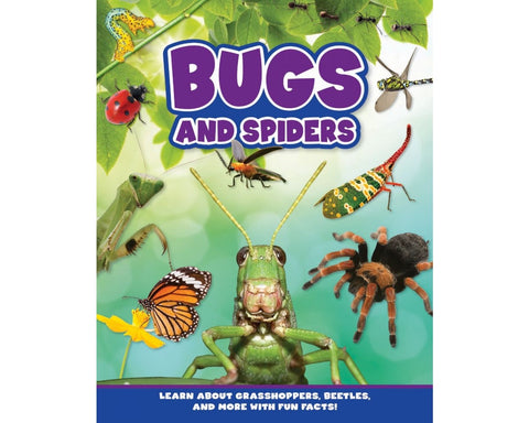 Bugs and Spiders Book