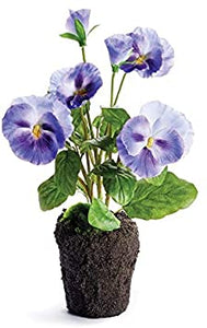 Pansy Drop-In 11.5 Blue/Violet