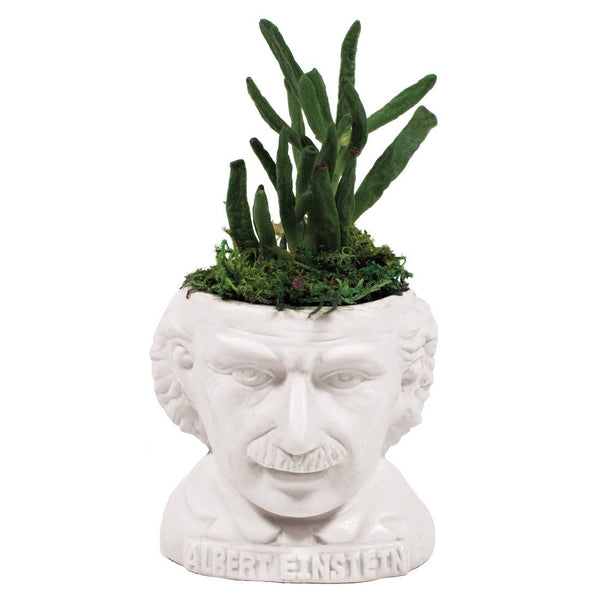 Albert Einstein Planter